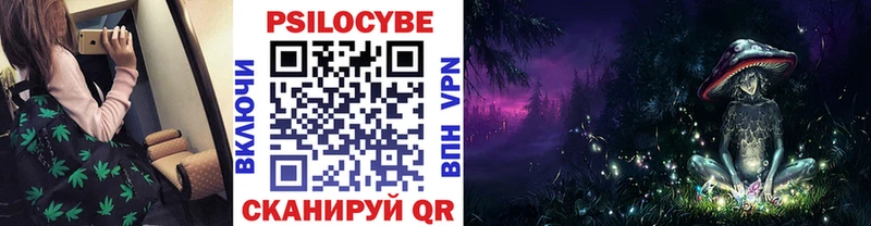 дарк нет как зайти  МЕГА ссылки  Галлюциногенные грибы Psilocybine cubensis  Северская  купить закладку 